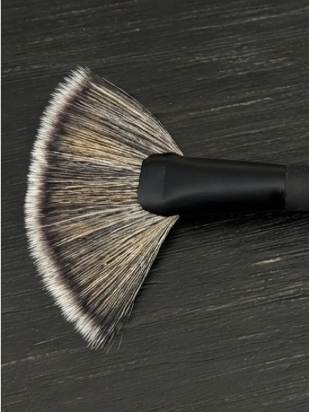 Eve Pearl Dual-Sided Fan Highlighter Brush 204 with Protective Case